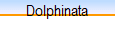 Dolphinata